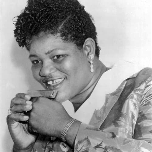 Women Who Play Harmonica Listen to Some of the Best Female Harmonica