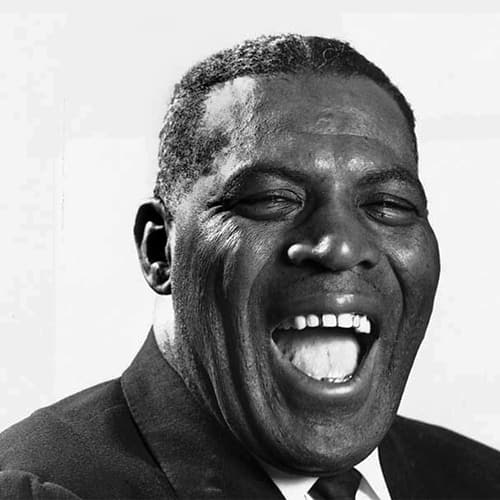 Blues Harmonica Players to Inspire Beginners Including Picks from