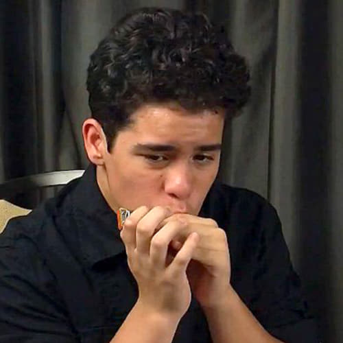 harmonica