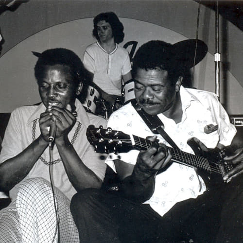 Blowing Blues Full Albums A History of Blues Harmonica 19262002