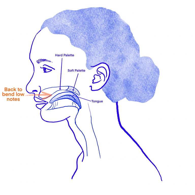 How to Bend Harmonica For Beginners