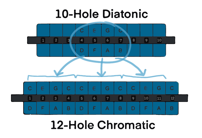 Hohner Chrometta 12 Hole C Harmonica