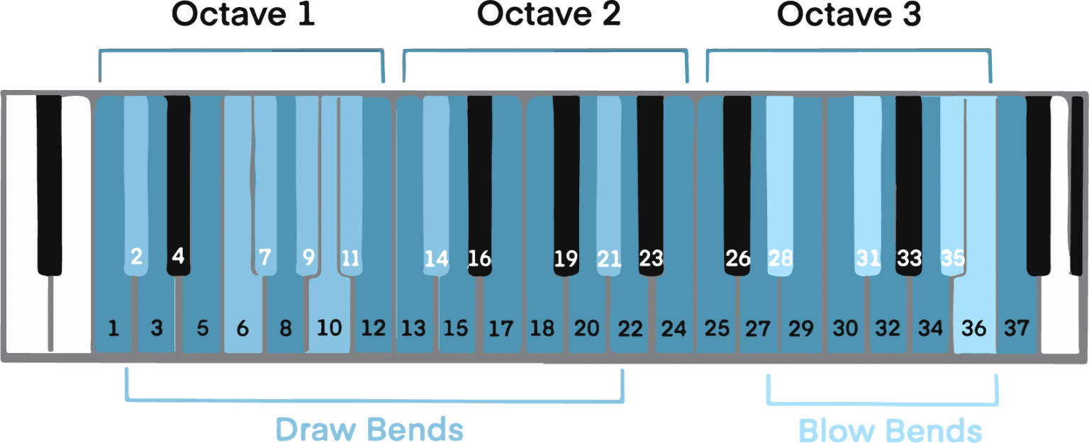 Exploring the 3 Types of Harmonica A Beginner’s Guide