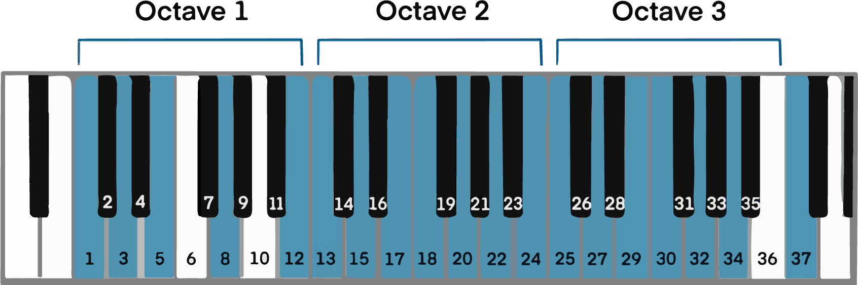 Exploring The 3 Types Of Harmonica A Beginner S Guide Exploring The 3 Types Of Harmonica A Beginner S Guide