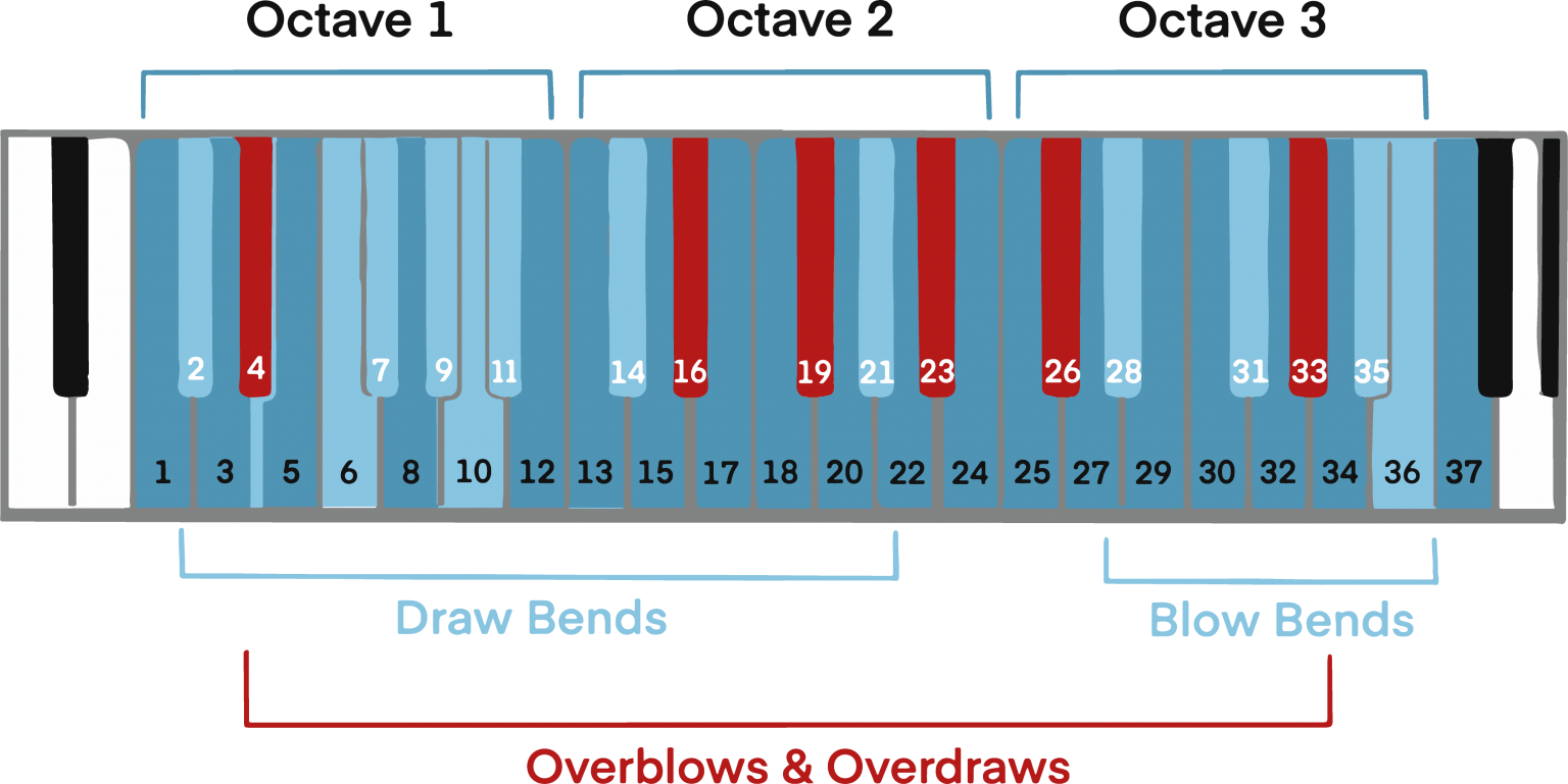 Exploring the 3 Types of Harmonica A Beginner’s Guide