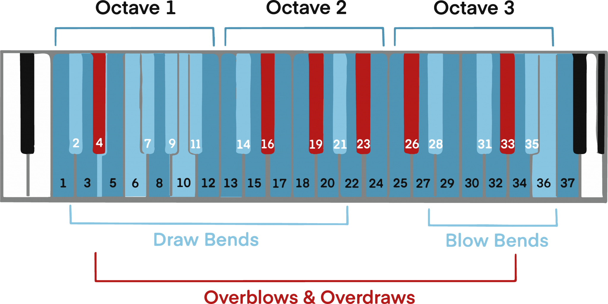 Exploring the 3 Types of Harmonica A Beginner’s Guide